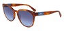 Солнцезащитные очки Longchamp LO656S 223