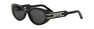 Солнцезащитные очки DIOR DiorSignature B8U 15A0 CD40170U 05A