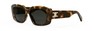Солнцезащитные очки Celine Triomphe 04 CL40216U 53A