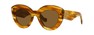 Солнцезащитные очки Loewe LW40051F 53E