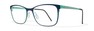 Оптическая оправа Blackfin Salishan BF817 825