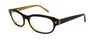 Оптическая оправа Dsquared2 DQ5022 050