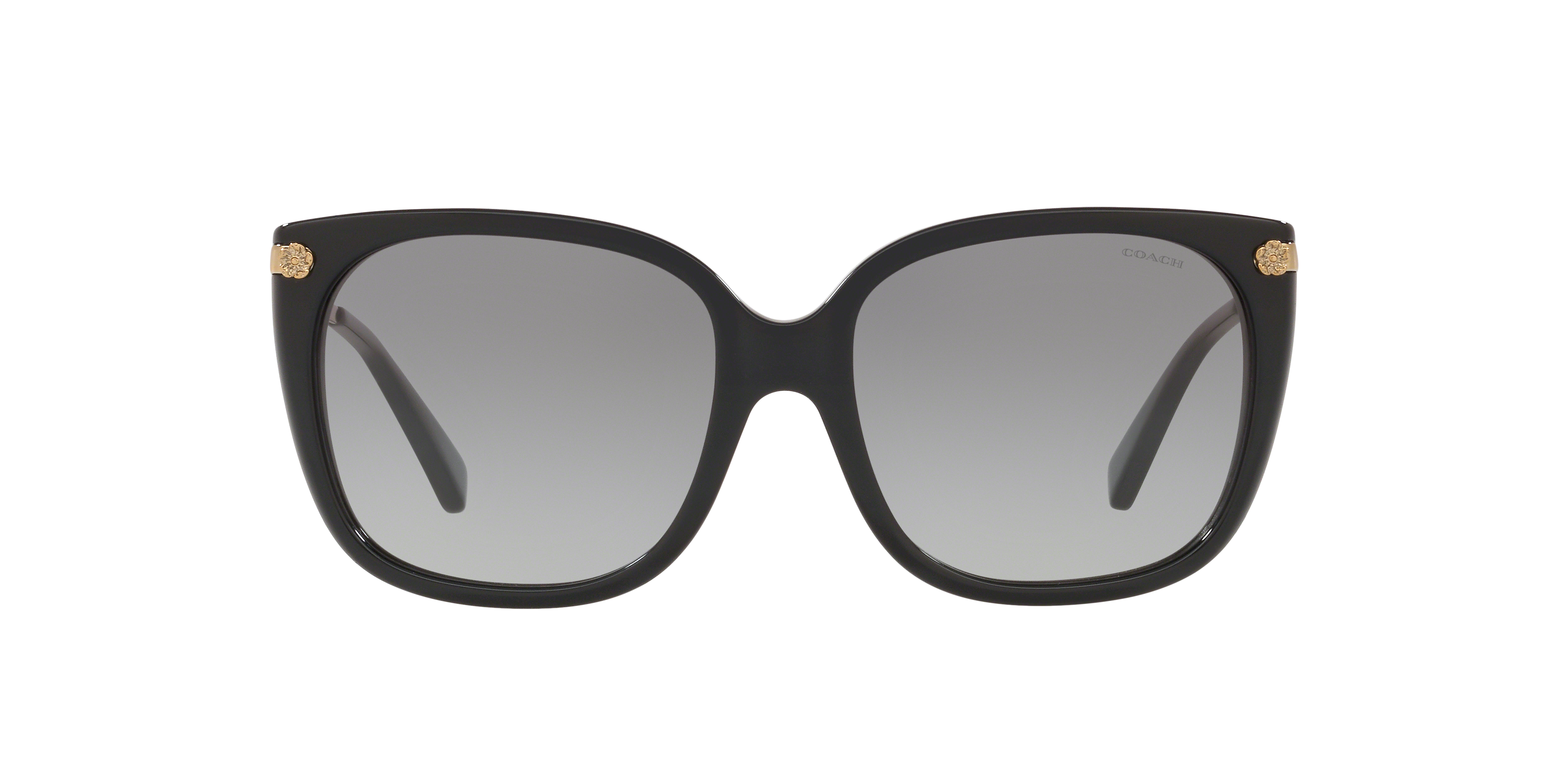 Coach HC8272 L1097 Women\'s Sunglasses Sunglasses Coach HC8132 L109 | Free Shipping | Glasses.com® main image 3